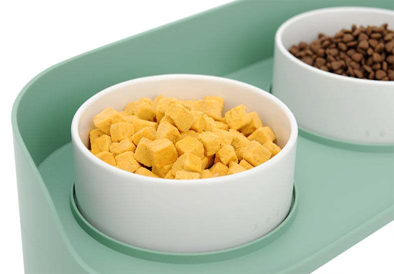 Cat and Dog Bowl with Tray